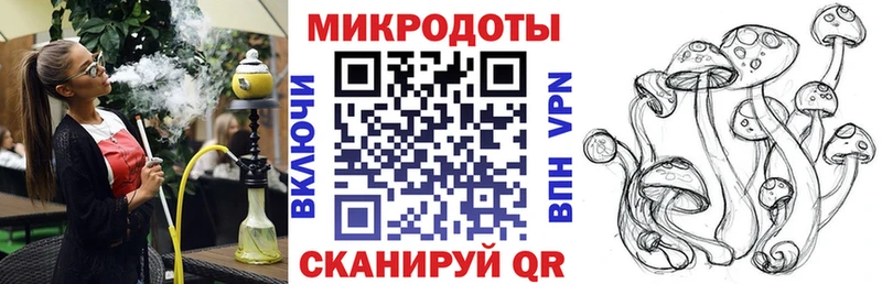 закладка  Курчалой  Галлюциногенные грибы Psilocybe 